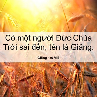 Picture 06 - Giăng 1:6 VIE - Có một người Đức Chúa Trời sai - Bible Verse Picture