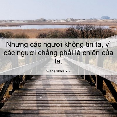 Picture 06 - Giăng 10:26 VIE - Nhưng các ngươi không tin ta, vì các - Bible Verse Picture
