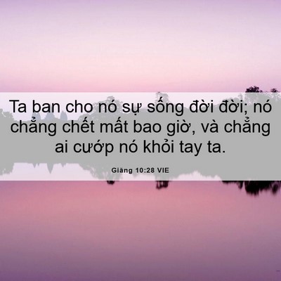 Picture 06 - Giăng 10:28 VIE - Ta ban cho nó sự sống đời đời; nó - Bible Verse Picture