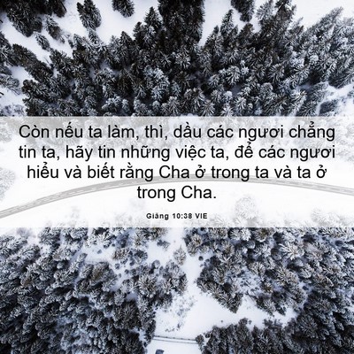 Picture 06 - Giăng 10:38 VIE - Còn nếu ta làm, thì, dầu các ngươi - Bible Verse Picture