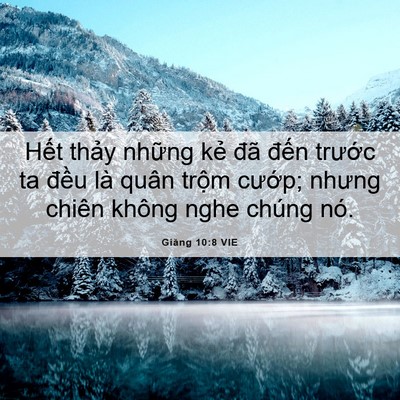 Picture 06 - Giăng 10:8 VIE - Hết thảy những kẻ đã đến trước ta - Bible Verse Picture