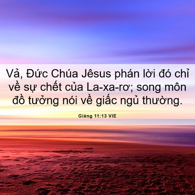 Picture 06 - Giăng 11:13 VIE - Vả, Đức Chúa Jêsus phán lời đó chỉ - Bible Verse Picture