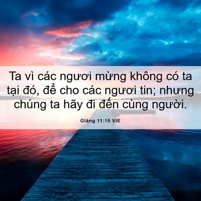 Picture 06 - Giăng 11:15 VIE - Ta vì các ngươi mừng không có ta tại - Bible Verse Picture