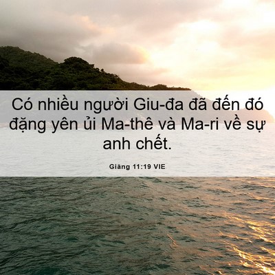 Picture 06 - Giăng 11:19 VIE - Có nhiều người Giu-đa đã đến đó - Bible Verse Picture
