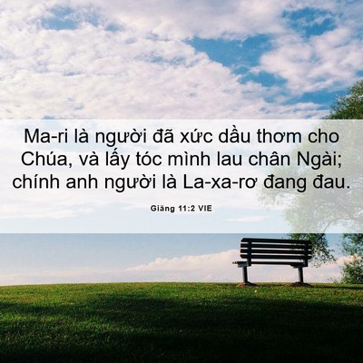 Picture 06 - Giăng 11:2 VIE - Ma-ri là người đã xức dầu thơm cho - Bible Verse Picture