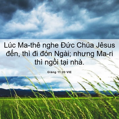 Picture 06 - Giăng 11:20 VIE - Lúc Ma-thê nghe Đức Chúa Jêsus đến, - Bible Verse Picture
