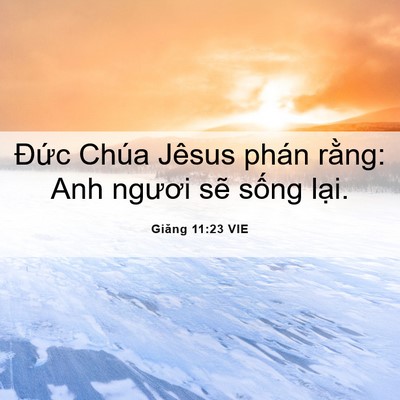 Picture 06 - Giăng 11:23 VIE - Đức Chúa Jêsus phán rằng: Anh ngươi - Bible Verse Picture