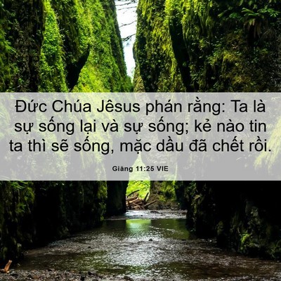 Picture 06 - Giăng 11:25 VIE - Đức Chúa Jêsus phán rằng: Ta là sự - Bible Verse Picture