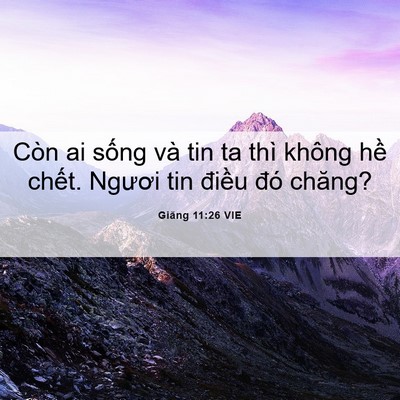 Picture 06 - Giăng 11:26 VIE - Còn ai sống và tin ta thì không hề - Bible Verse Picture