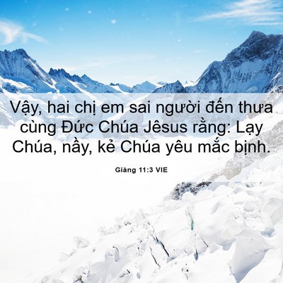 Picture 06 - Giăng 11:3 VIE - Vậy, hai chị em sai người đến thưa - Bible Verse Picture