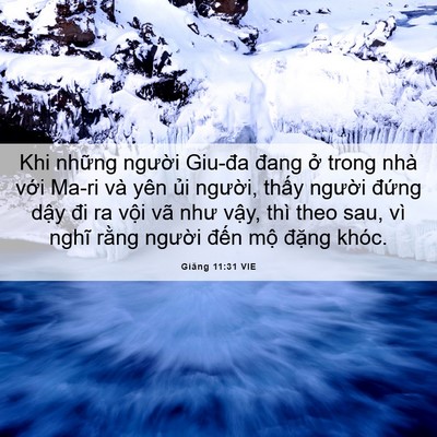 Picture 06 - Giăng 11:31 VIE - Khi những người Giu-đa đang ở trong nhà - Bible Verse Picture