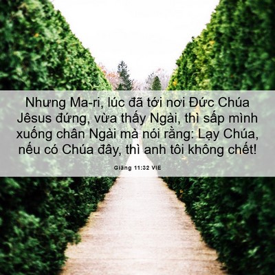 Picture 06 - Giăng 11:32 VIE - Nhưng Ma-ri, lúc đã tới nơi Đức Chúa - Bible Verse Picture