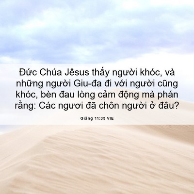 Picture 06 - Giăng 11:33 VIE - Đức Chúa Jêsus thấy người khóc, và - Bible Verse Picture