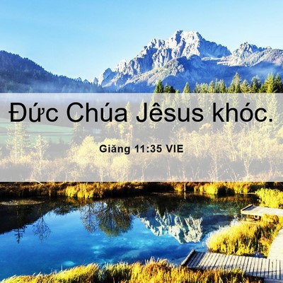 Picture 06 - Giăng 11:35 VIE - Đức Chúa Jêsus - Bible Verse Picture