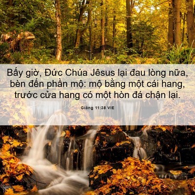 Picture 06 - Giăng 11:38 VIE - Bấy giờ, Đức Chúa Jêsus lại đau lòng - Bible Verse Picture