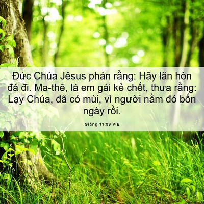 Picture 06 - Giăng 11:39 VIE - Đức Chúa Jêsus phán rằng: Hãy lăn hòn - Bible Verse Picture