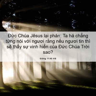 Picture 06 - Giăng 11:40 VIE - Đức Chúa Jêsus lại phán: Ta há chẳng - Bible Verse Picture