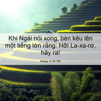 Picture 06 - Giăng 11:43 VIE - Khi Ngài nói xong, bèn kêu lên một tiếng - Bible Verse Picture
