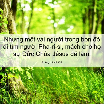 Picture 06 - Giăng 11:46 VIE - Nhưng một vài người trong bọn đó đi - Bible Verse Picture