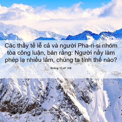 Picture 06 - Giăng 11:47 VIE - Các thầy tế lễ cả và người Pha-ri-si - Bible Verse Picture
