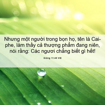 Picture 06 - Giăng 11:49 VIE - Nhưng một người trong bọn họ, tên là - Bible Verse Picture