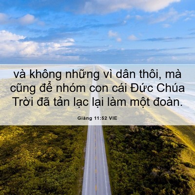 Picture 06 - Giăng 11:52 VIE - và không những vì dân thôi, mà cũng - Bible Verse Picture