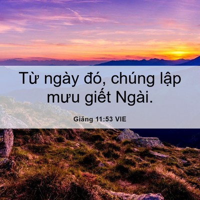 Picture 06 - Giăng 11:53 VIE - Từ ngày đó, chúng lập mưu giết - Bible Verse Picture