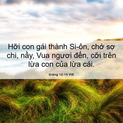 Picture 06 - Giăng 12:15 VIE - Hỡi con gái thành Si-ôn, chớ sợ chi, - Bible Verse Picture
