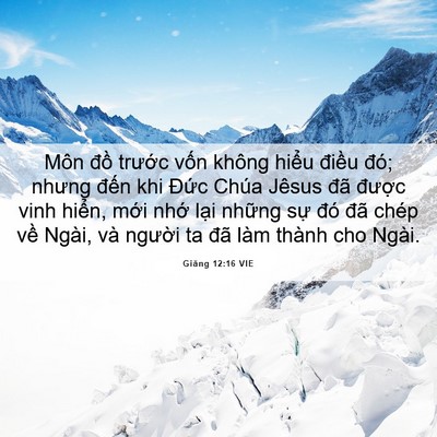 Picture 06 - Giăng 12:16 VIE - Môn đồ trước vốn không hiểu điều - Bible Verse Picture