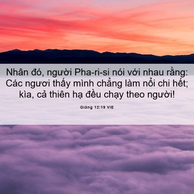 Picture 06 - Giăng 12:19 VIE - Nhân đó, người Pha-ri-si nói với nhau - Bible Verse Picture