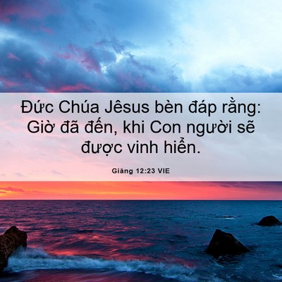 Picture 06 - Giăng 12:23 VIE - Đức Chúa Jêsus bèn đáp rằng: Giờ đã - Bible Verse Picture