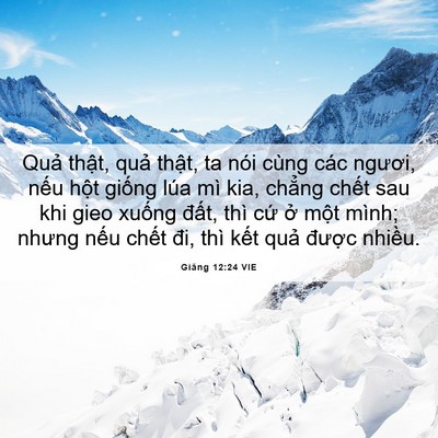 Picture 06 - Giăng 12:24 VIE - Quả thật, quả thật, ta nói cùng các - Bible Verse Picture