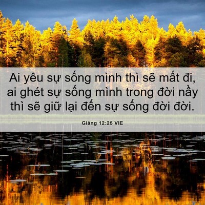 Picture 06 - Giăng 12:25 VIE - Ai yêu sự sống mình thì sẽ mất đi, ai - Bible Verse Picture