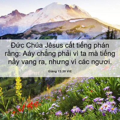Picture 06 - Giăng 12:30 VIE - Đức Chúa Jêsus cất tiếng phán rằng: - Bible Verse Picture