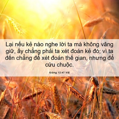 Picture 06 - Giăng 12:47 VIE - Lại nếu kẻ nào nghe lời ta mà không - Bible Verse Picture