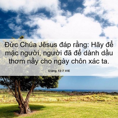 Picture 06 - Giăng 12:7 VIE - Đức Chúa Jêsus đáp rằng: Hãy để - Bible Verse Picture