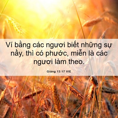 Picture 06 - Giăng 13:17 VIE - Ví bằng các ngươi biết những sự - Bible Verse Picture