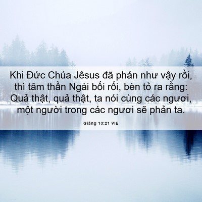 Picture 06 - Giăng 13:21 VIE - Khi Đức Chúa Jêsus đã phán như vậy - Bible Verse Picture