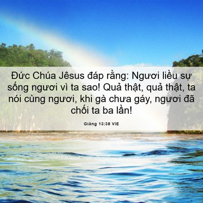 Picture 06 - Giăng 13:38 VIE - Đức Chúa Jêsus đáp rằng: Ngươi liều - Bible Verse Picture