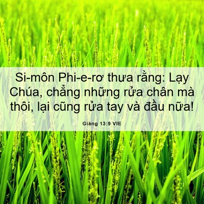 Picture 06 - Giăng 13:9 VIE - Si-môn Phi-e-rơ thưa rằng: Lạy Chúa, - Bible Verse Picture