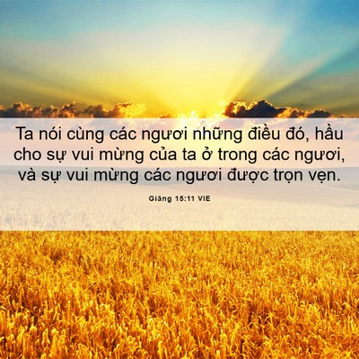 Picture 06 - Giăng 15:11 VIE - Ta nói cùng các ngươi những điều đó, - Bible Verse Picture