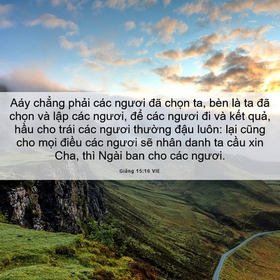 Picture 06 - Giăng 15:16 VIE - Aáy chẳng phải các ngươi đã chọn ta, - Bible Verse Picture