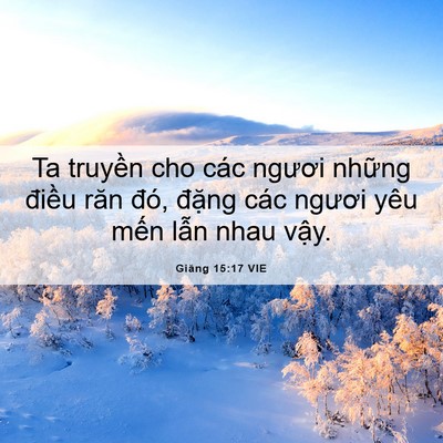 Picture 06 - Giăng 15:17 VIE - Ta truyền cho các ngươi những điều răn - Bible Verse Picture
