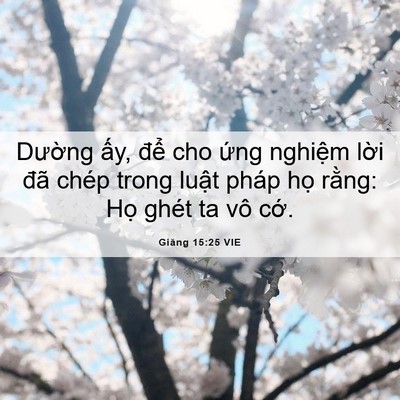 Picture 06 - Giăng 15:25 VIE - Dường ấy, để cho ứng nghiệm lời - Bible Verse Picture