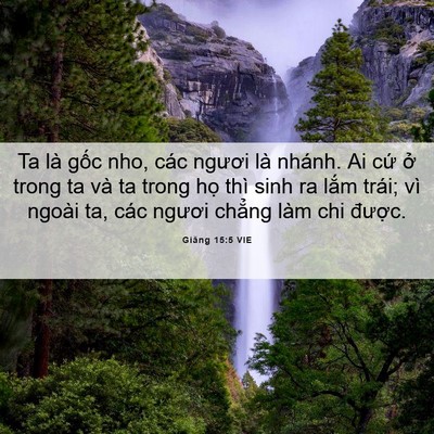 Picture 06 - Giăng 15:5 VIE - Ta là gốc nho, các ngươi là nhánh. Ai - Bible Verse Picture