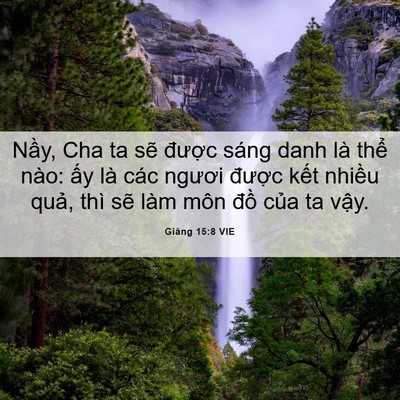 Picture 06 - Giăng 15:8 VIE - Nầy, Cha ta sẽ được sáng danh là thể - Bible Verse Picture