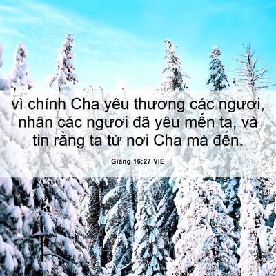Picture 06 - Giăng 16:27 VIE - vì chính Cha yêu thương các ngươi, nhân - Bible Verse Picture
