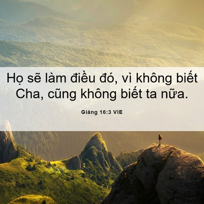 Picture 06 - Giăng 16:3 VIE - Họ sẽ làm điều đó, vì không biết - Bible Verse Picture