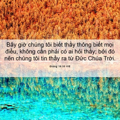 Picture 06 - Giăng 16:30 VIE - Bây giờ chúng tôi biết thầy thông - Bible Verse Picture
