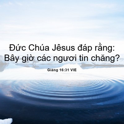 Picture 06 - Giăng 16:31 VIE - Đức Chúa Jêsus đáp rằng: Bây giờ các - Bible Verse Picture